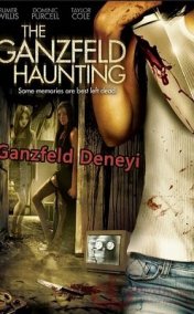 Ganzfeld Deneyi