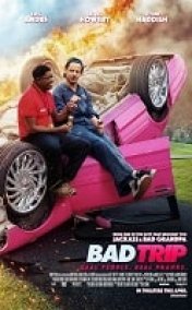 Bad Trip Türkçe Altyazılı izle